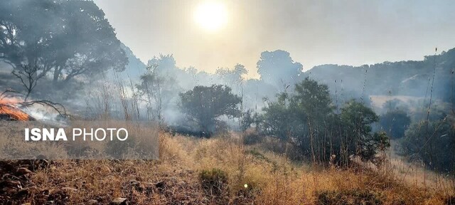 آتش جنگلها و مراتع «سیوک» بویراحمد مهار شد