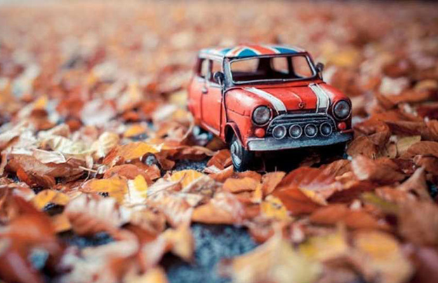 محصول سفر کارت علی بابا چیست