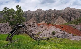 مهراب کوه ثبت ملی شد 