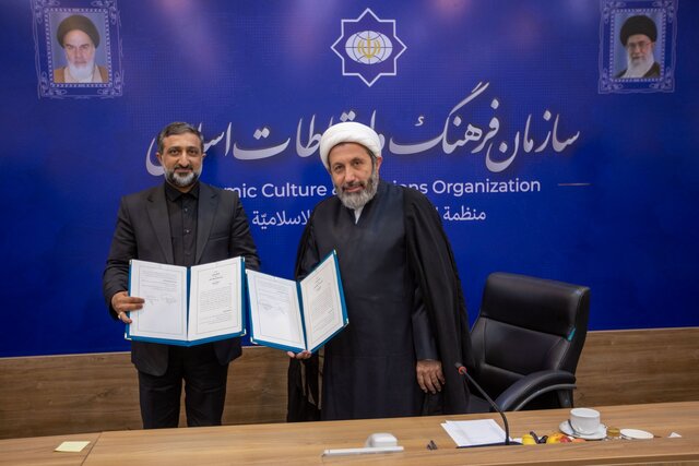 ایمانیپور: دیپلماسی فرهنگی برای کشور برکت دارد