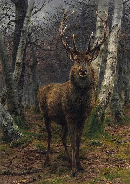 نقاش حیوانات را بشناسید + عکس