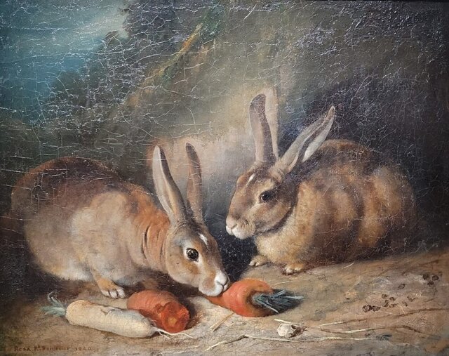 نقاش حیوانات را بشناسید + عکس