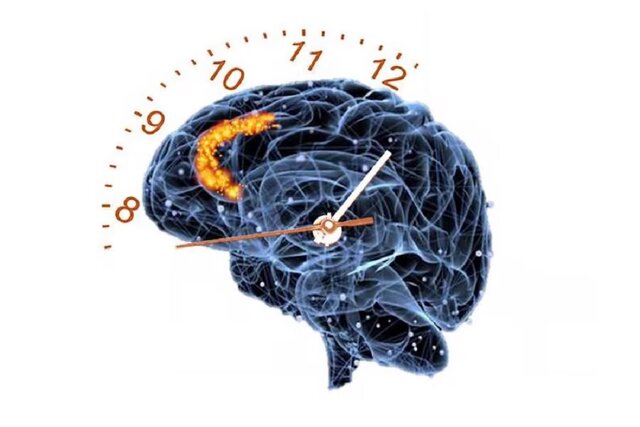 مغز ما زمان را بیشتر شبیه شمارنده می‌بیند تا ساعت