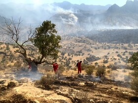 آتش گسترده جنگل‌های شهرستان باشت همچنان ادامه دارد