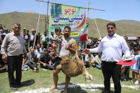 مسابقات سنتی کشتی لوچو در روستای کوهستانی چرات سوادکوه