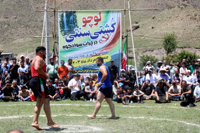 مسابقات سنتی کشتی لوچو در روستای کوهستانی چرات سوادکوه