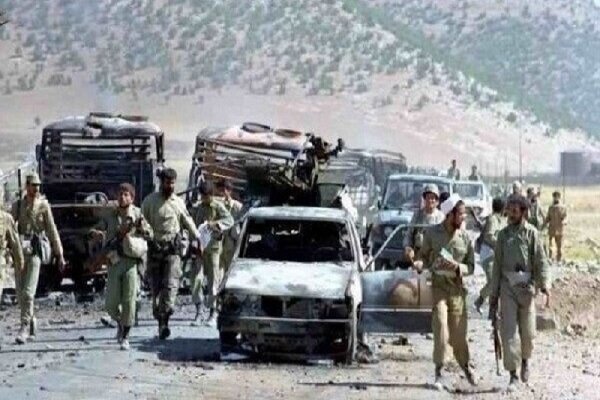 پنج پنج، اسم رمز عروج برای لالههای دیار آفتاب