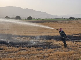 بازداشت چهار کشاورز متخلف در ازنا