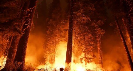 عکس آرشیوی است حریق جنگلی در کالیفرنیا؛ گسترش سریع آتش و تخریب خانهها