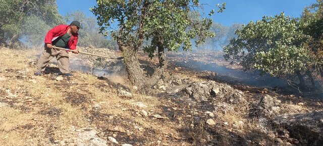 ۲ مورد آتشسوزی در جنگلهای بخش کبگیان مهار شد