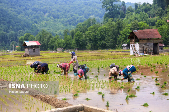 رنج فراوان و گنج بیحاصل