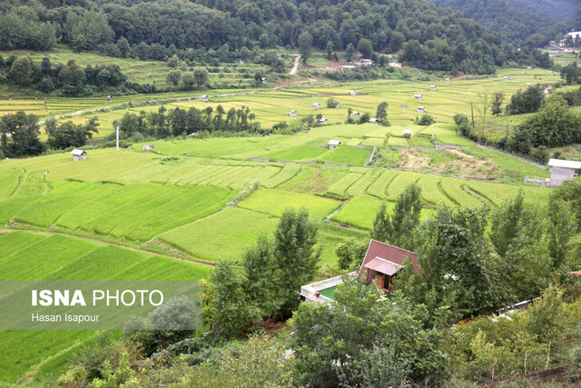 رنج فراوان و گنج بیحاصل