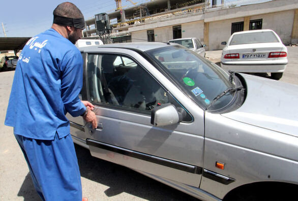 کاهش ۸ درصدی آمار سرقت در استان کردستان 