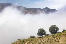 ارتفاعات جنگلی اولنگ ، شهرستان رامیان - استان گلستان