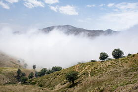 ارتفاعات جنگلی اولنگ ، شهرستان رامیان - استان گلستان