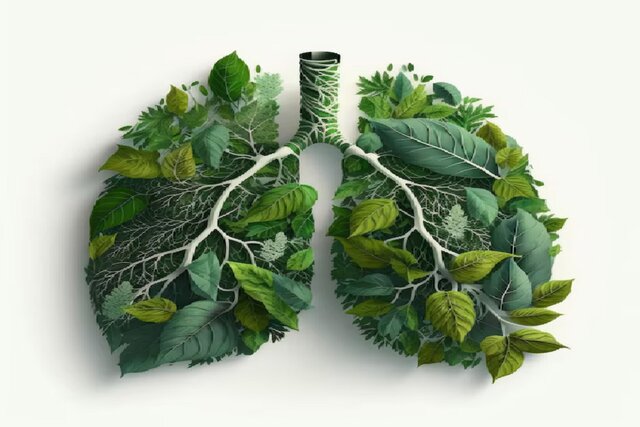 باغبانان ناجی ریههای انسان کشف شدند باغبانان ناجی ریههای انسان کشف شدند