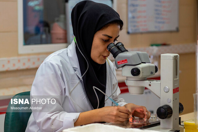 عکس تزئینی و آرشیوی است ابلاغ شیوهنامه اجرای طرح «شهید وزوایی» در سال تحصیلی جاری