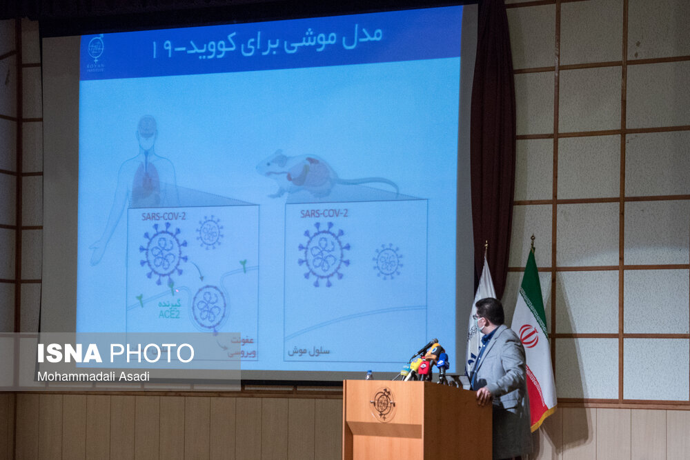 ۴۴ سال خودباوری