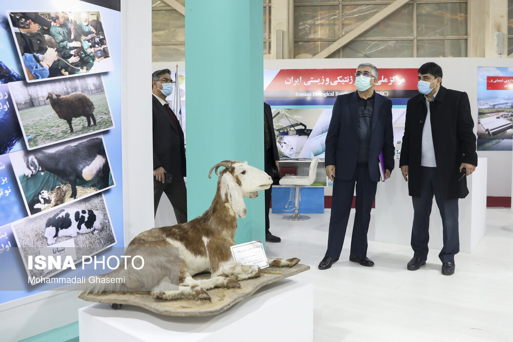 ۴۴ سال خودباوری