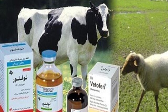 کشف و ضبط ۲۴ قلم داروی قاچاق در داروخانه های دامپزشکی خراسان شمالی کشف و ضبط ۲۴ قلم داروی قاچاق در داروخانه های دامپزشکی خراسان شمالی