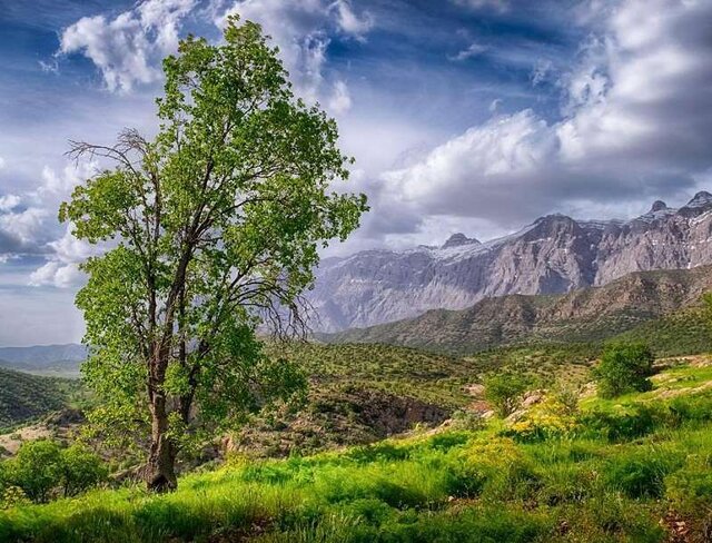 لغو مصوبه واگذاری دنای شمالی مطالبه عمومی مردم و مسئولان کهگیلویه و بویراحمد