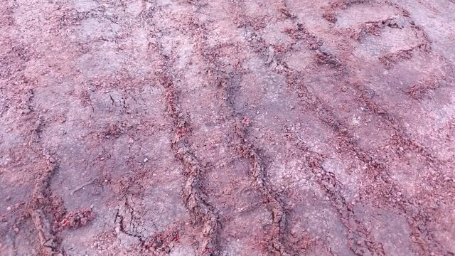 انگیزه تخریب پیست دو و میدانی اهواز چیست؟