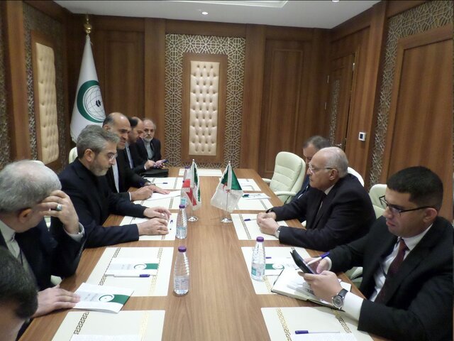 وزیر خارجه الجزایر: جنایات اسرائیل به حدی رسیده که همه کشورها ناگزیر به محکومیت آن هستند