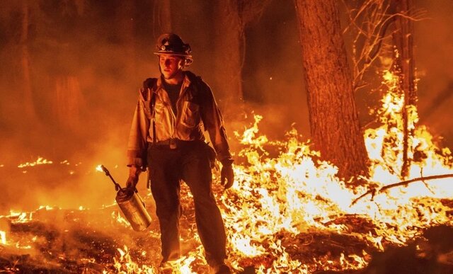 عکس آرشیوی است گسترش حریق جنگلی در «کالیفرنیا» و دستور تخلیه برای هزاران نفر+فیلم