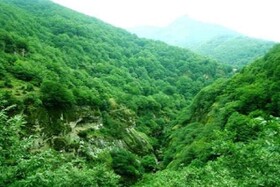 مرگ ۲۲۶۶ جانور در پارک ملی گلستان براثر تصادف در مدت ۲۰ سال