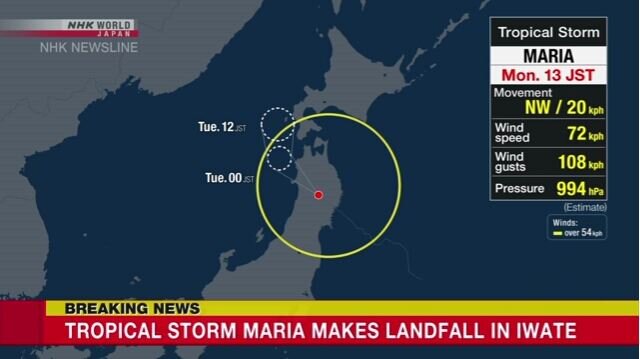 طوفان شدید در ژاپن، حملونقل هوایی و جادهای را مختل کرد
