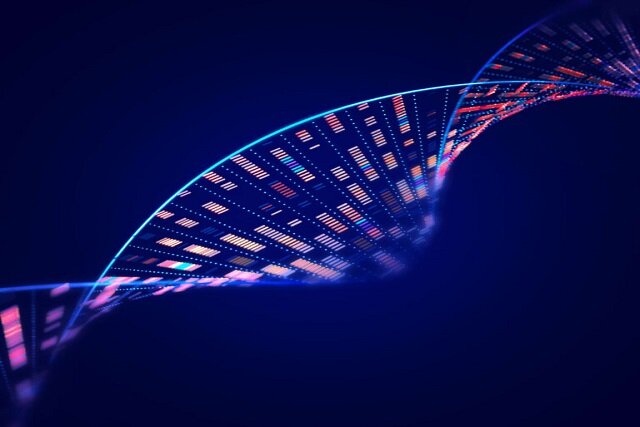 عکس تزیینی است. تشخیص ناهنجاریهای جنینی با توالییابی ژنتیکی / ورود دستگاههای جدید به کشور