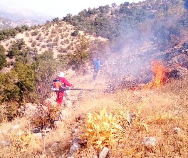 عکس آرشیوی آتش پارک سرخه حصار مهار شد
