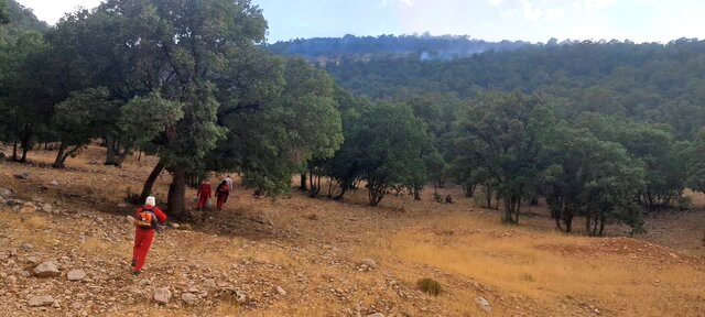 آتش سوزی جنگلها و مراتع «پریکدان» بویراحمد مهار شد