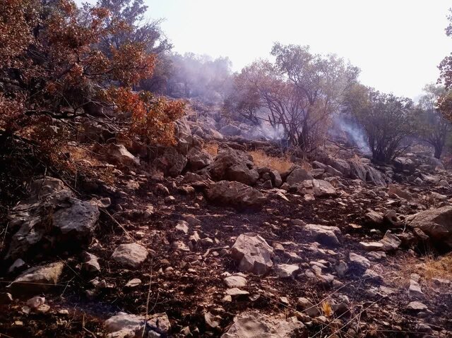 آتش سوزی جنگلها و مراتع «پریکدان» بویراحمد مهار شد