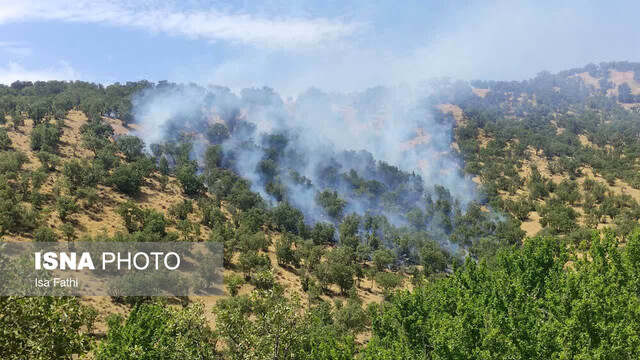 وقوع آتشسوزی در جنگلهای محمود آباد شهرستان بویراحمد