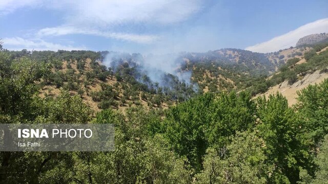 وقوع آتشسوزی در جنگلهای محمود آباد شهرستان بویراحمد