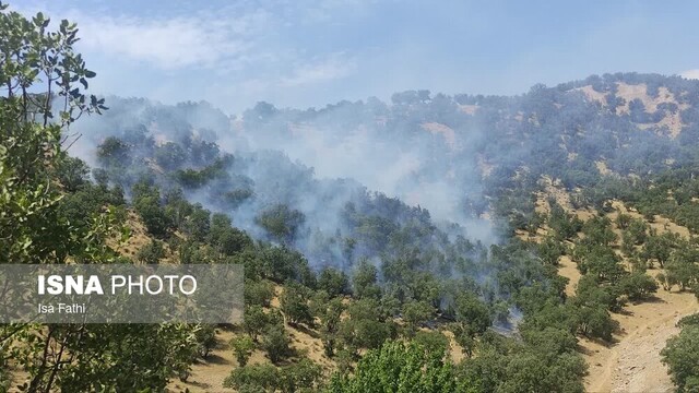 آتش سوزی در ارتفاعات گیلانغرب