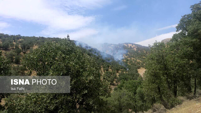 وقوع آتشسوزی در جنگلهای محمود آباد شهرستان بویراحمد