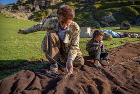 پدر خانواده درحال دوختن سیاه چادر برای برپایی «بهار مالگه» 