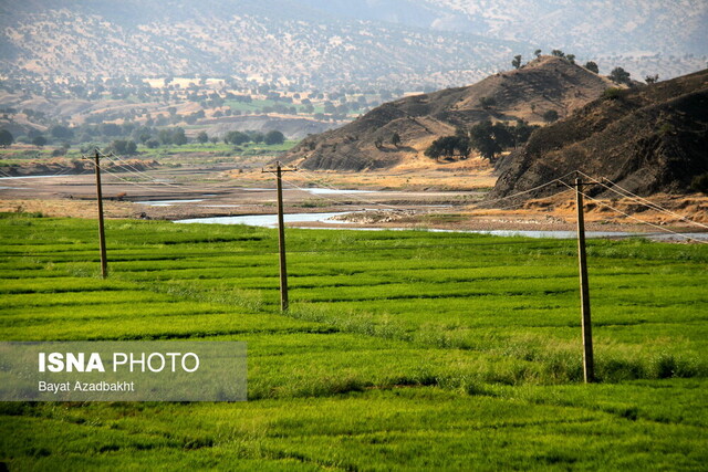 خشککنانِ کشکان