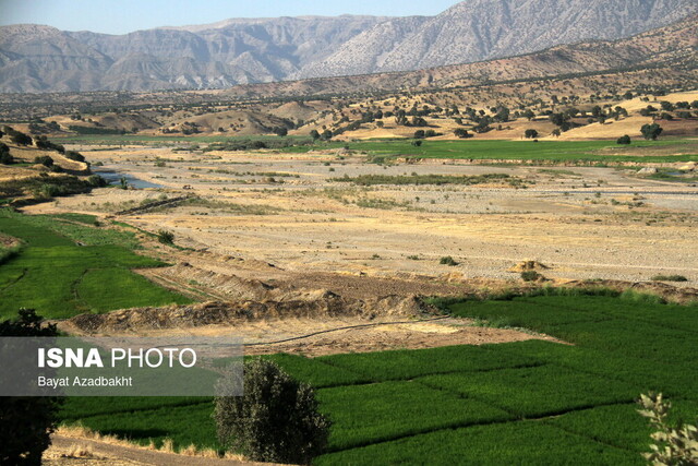 خشککنانِ کشکان