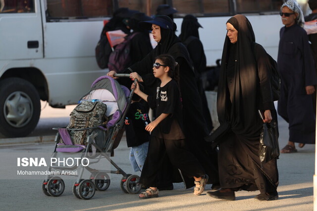 تصویر تزیینی است هیچ مورد ابتلا به تب دنگی بین زوار پاکستانی گزارش نشده است