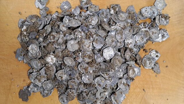 کشف اتفاقی گنجینه سکه  در آلمان کشف اتفاقی گنجینه سکه  در آلمان