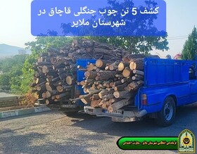 کشف ۵ تن چوب جنگلی قاچاق در ملایر 