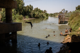 زائران حسینی در مسیر کوفه به کربلا