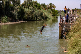 زائران حسینی در مسیر کوفه به کربلا