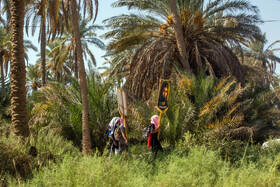 زائران حسینی در مسیر کوفه به کربلا