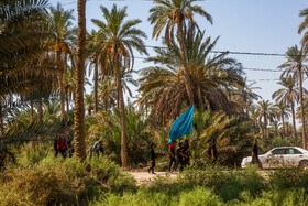 زائران حسینی در مسیر کوفه به کربلا