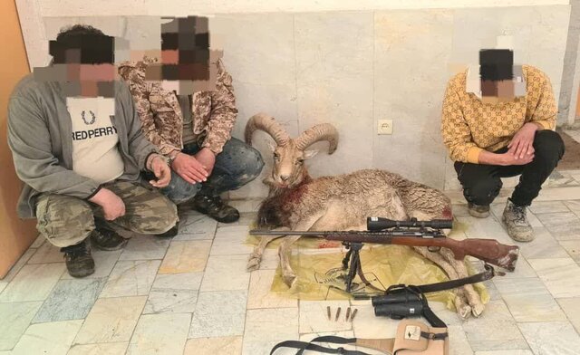 عکس تزئینی است محکومیت شکارچیان حیات وحش به جزای نقدی در پاکدشت