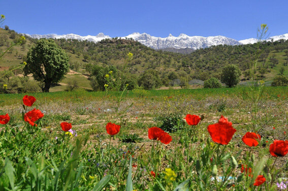 واکنشها به ماجرای واگذاری دنای شمالی به استان اصفهان و ساخت سد «ماندگان»